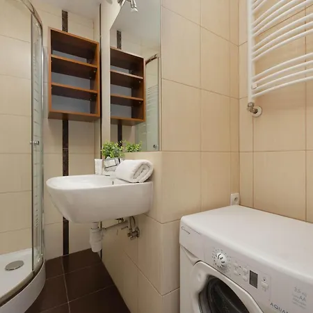 In Center Near The Capitol Theater By Renters *